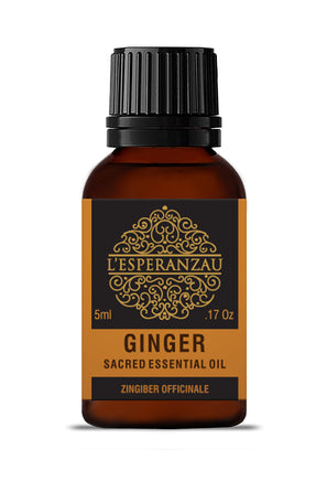 Ginger Essential Oil