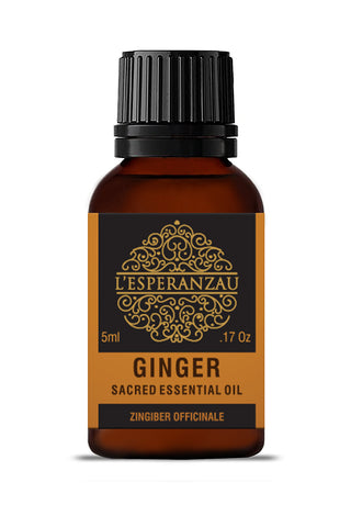 Ginger Essential Oil